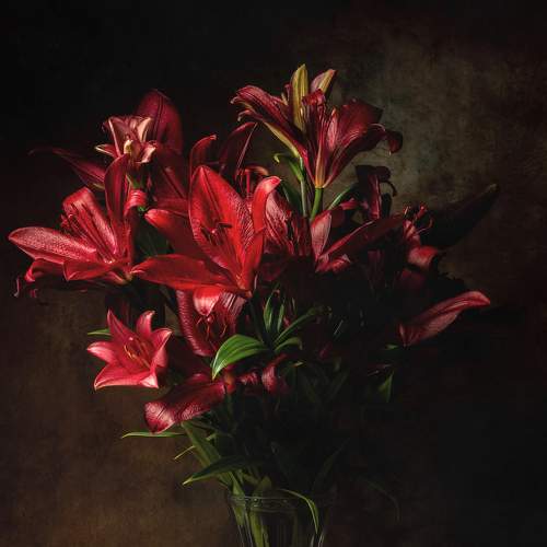 Lilum Still Life