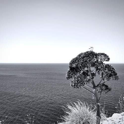 Photo #7852289