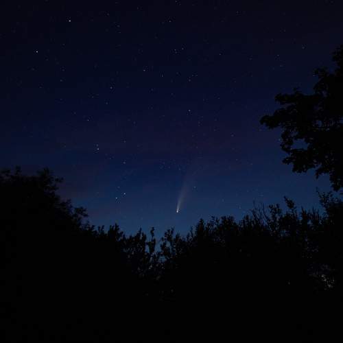 Photo #7852709