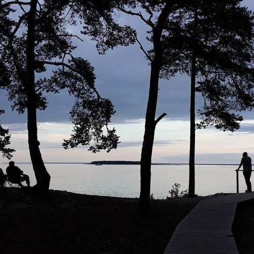 Photo #7852991
