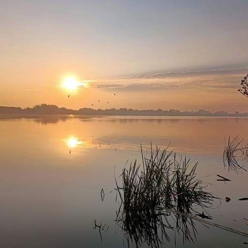 Photo #7853698