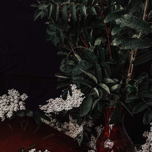 Photo #7853836