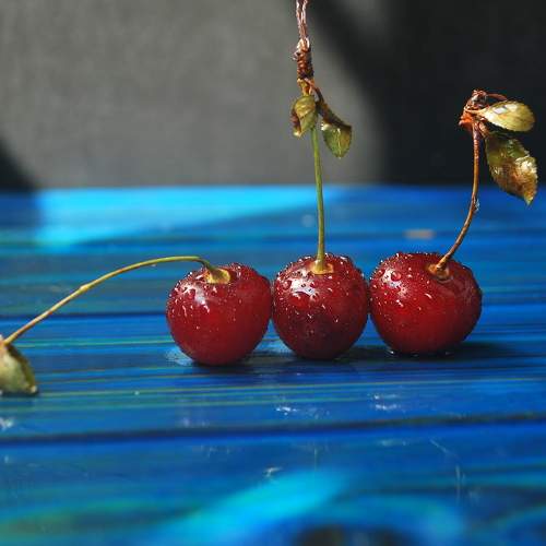 Photo #7853871
