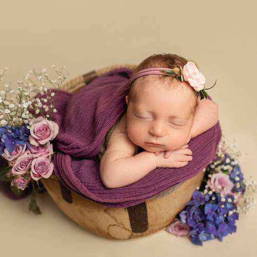 Photo #7854056