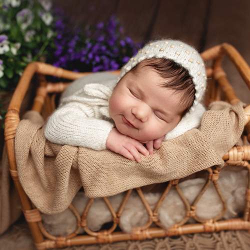 Photo #7854062