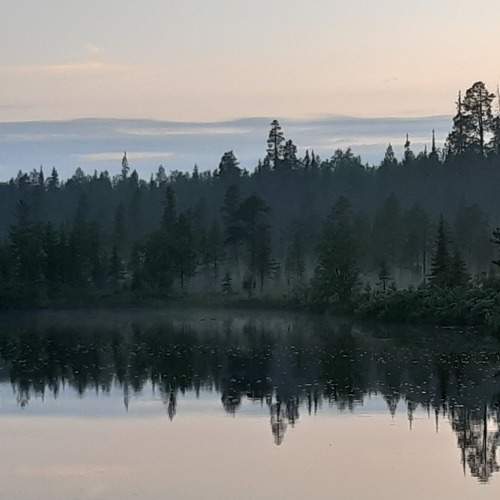 Photo #7854469