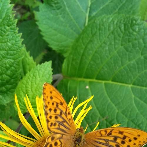 Photo #7854672