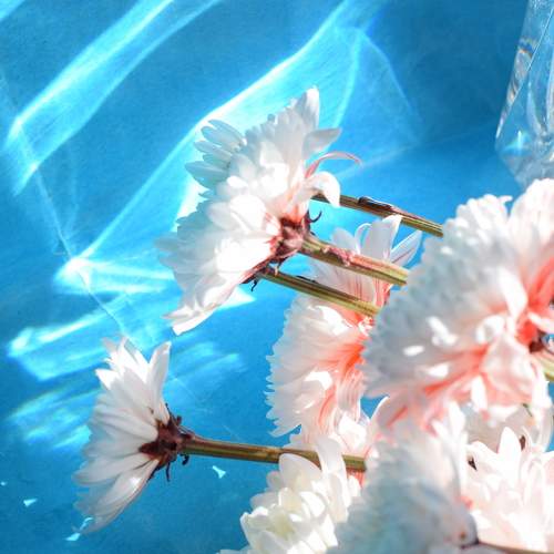 Photo #7855187
