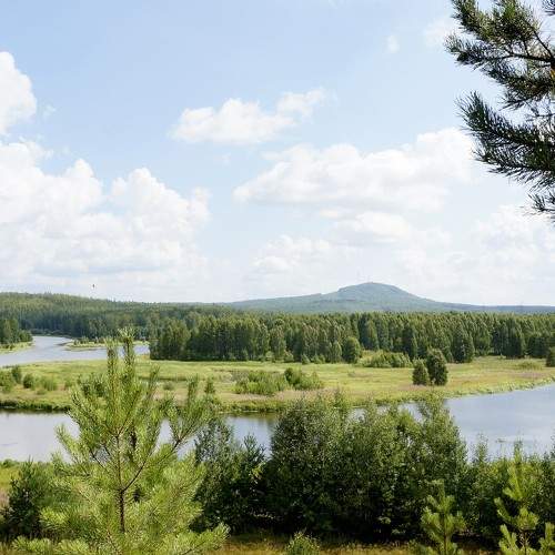 Photo #7855360