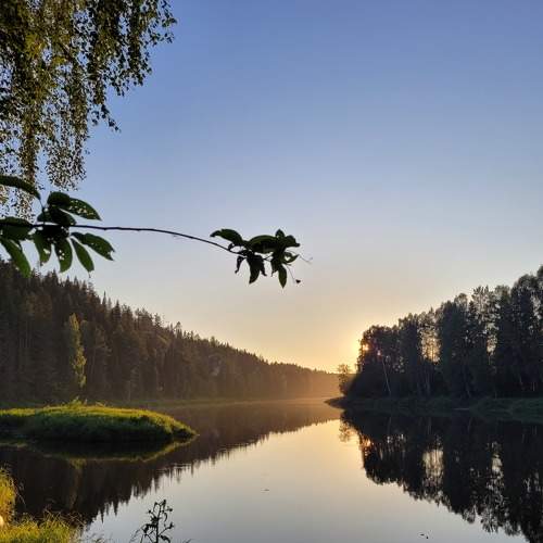 Photo #7855368