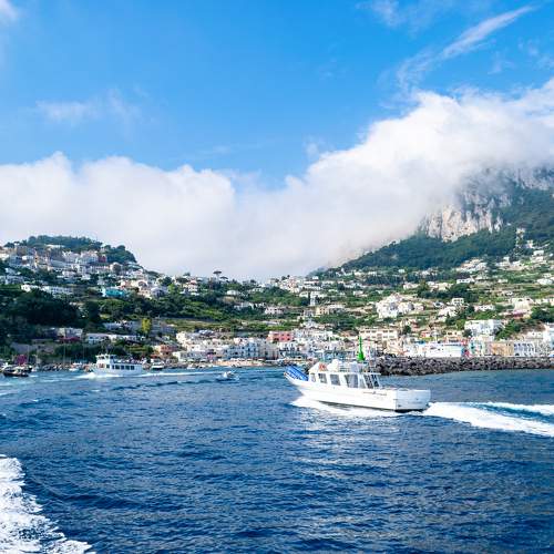 Photo #7855543