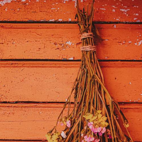 Photo #7855586