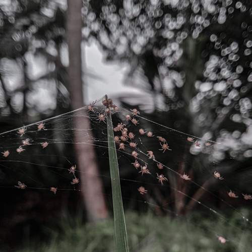 Photo #7857141