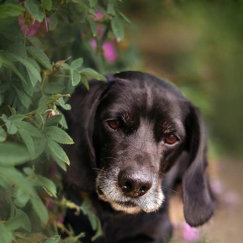 Photo #7857255