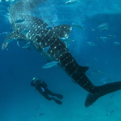 Фотография #7857481