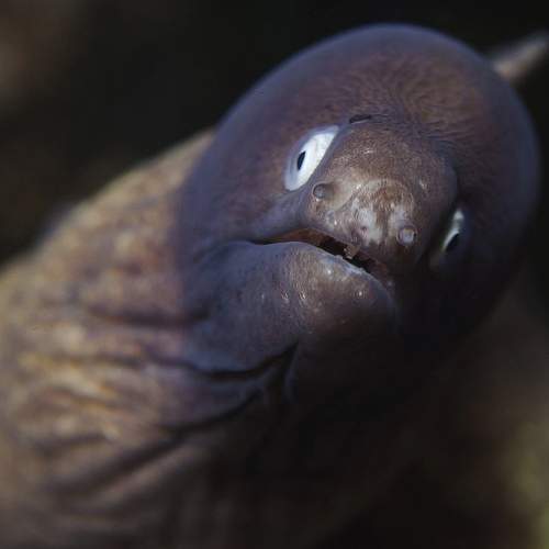 Фотография #7857967