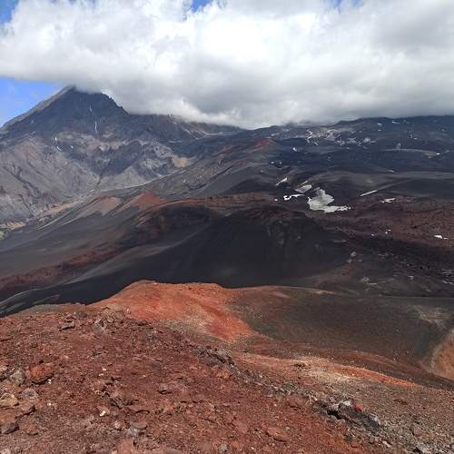 Photo #7858158