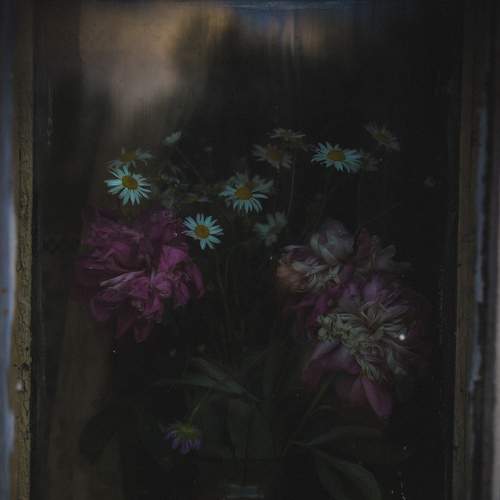 Photo #7858578