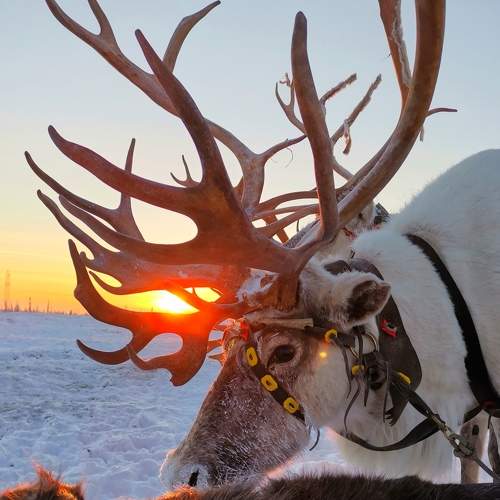 Photo #7858633