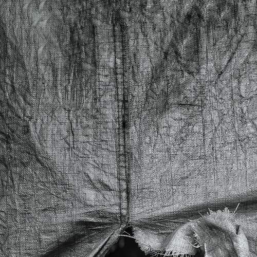 Photo #7858700