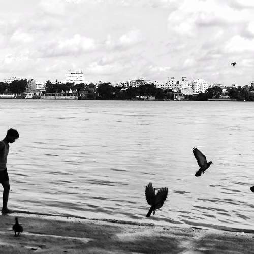 Photo #7858713