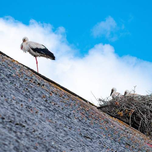 Photo #7858812