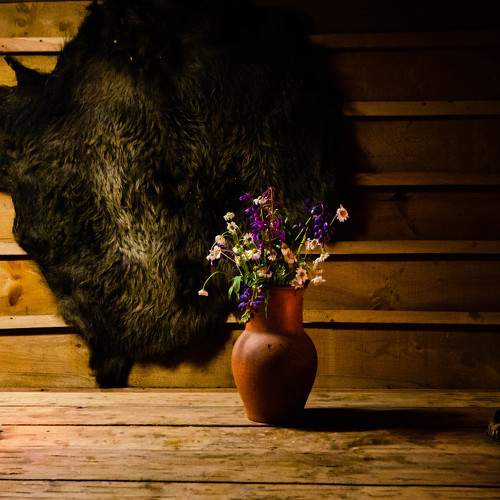 Photo #7858827