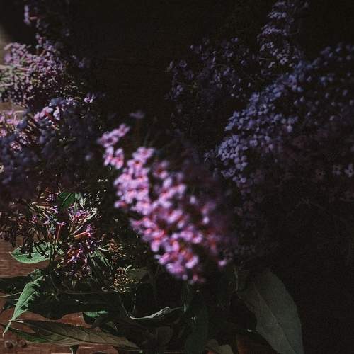 Photo #7859116