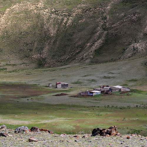 Photo #7859702