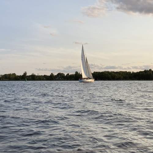 Photo #7860224