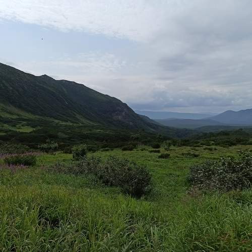 Photo #7860305