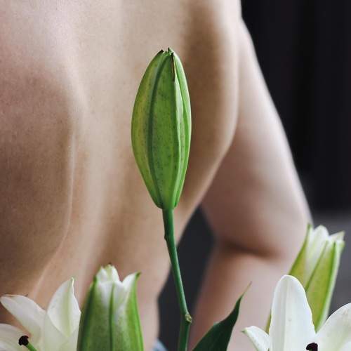 Photo #7861104