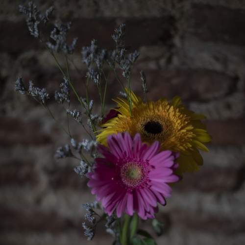 Photo #7861260