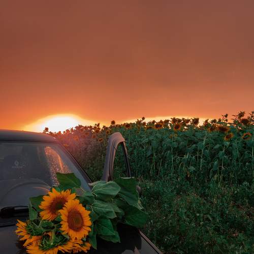 Photo #7861471