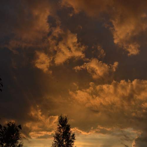 Photo #7861708