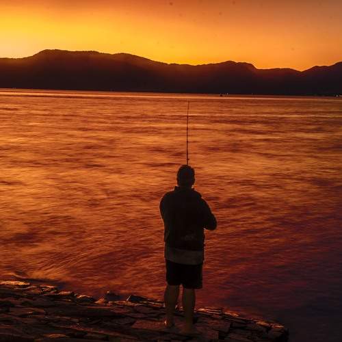 Photo #7862719