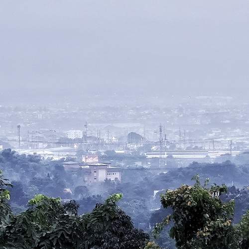 Photo #7862735