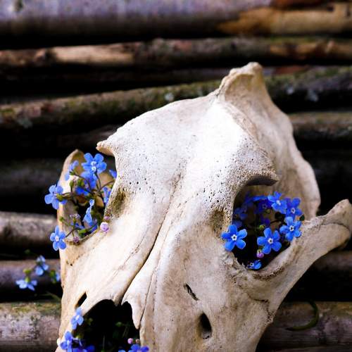 Memento Mori