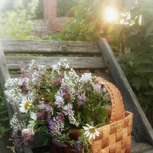 Photo #7863506
