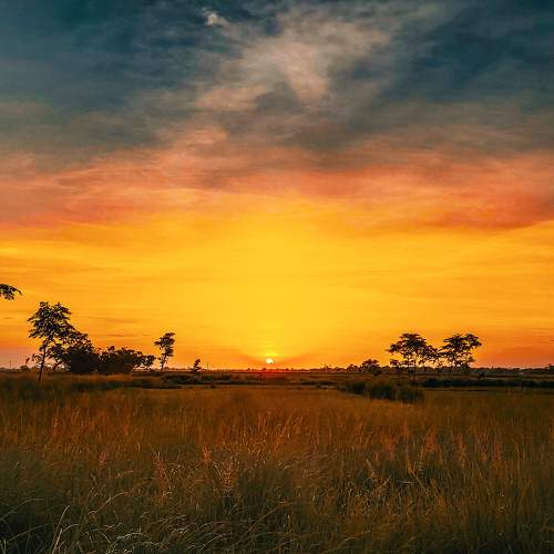 Countryside Sunset