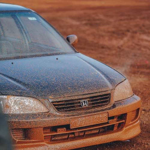 Photo #7864709
