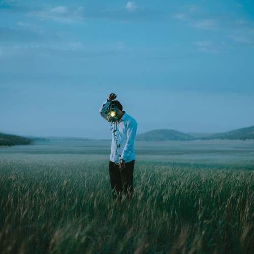 Photo #7864717