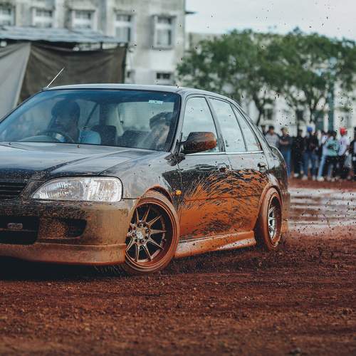 Photo #7864722