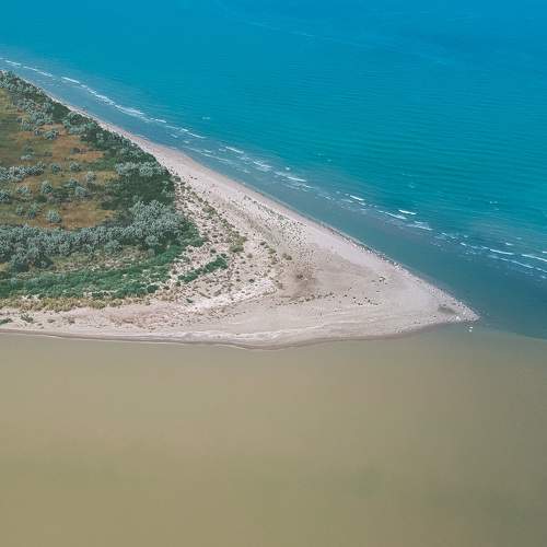 Photo #7864859