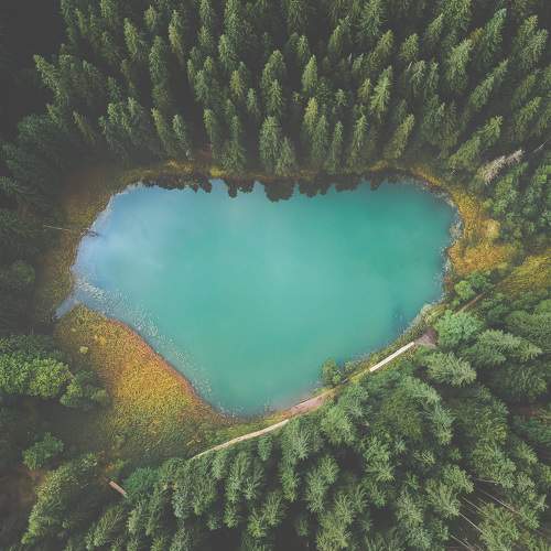 Photo #7864861