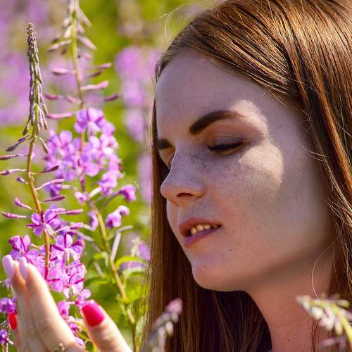 Photo #7865438