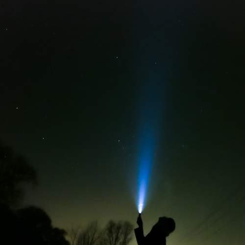 Photo #7866226
