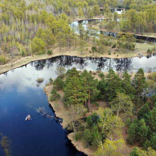 Photo #7866261