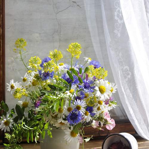Photo #7866432
