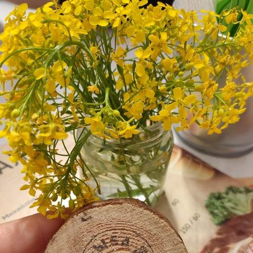 Photo #7866638